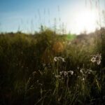 Tips for Creating a Relaxing Morning Routine to Boost Productivity